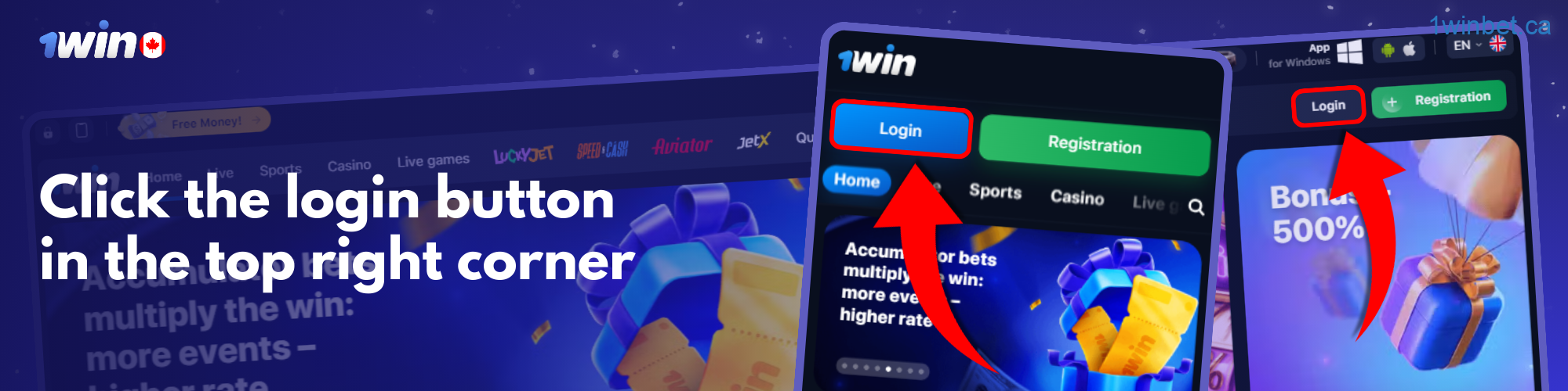 Input the email address and password that you used to register;